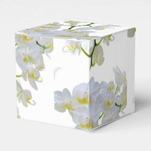 Caixa de Favor da Rosa Amarela