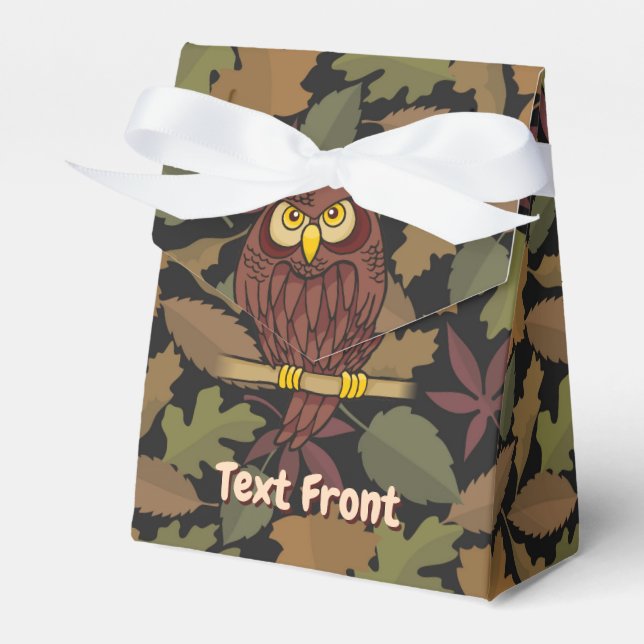 Caixa de Favor do Cartoon Owl (Frente)
