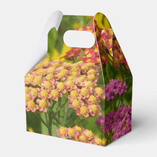 Caixa de Favoritos das Flores de Jardim Coloridas