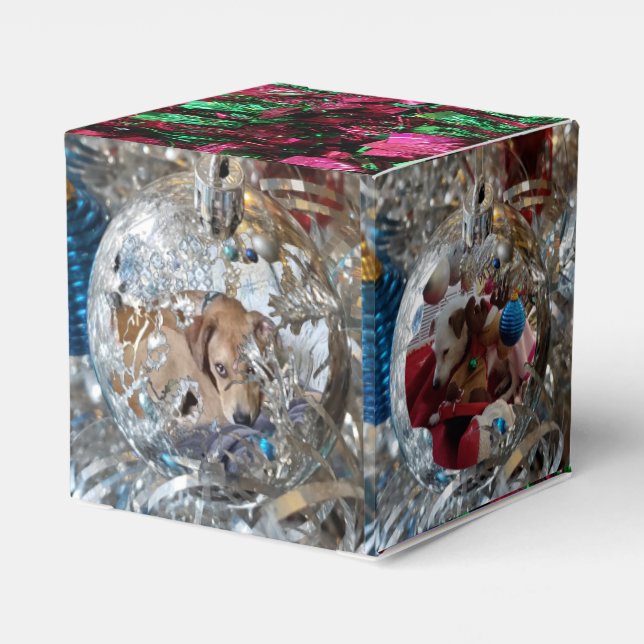 Caixa de Favoritos de Prata 4 (Verso)