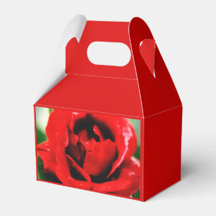 Caixa de Favoritos do Amor rosa vermelha