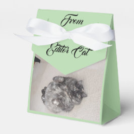 Caixa de Favoritos do Editor Cat by RoseWrites