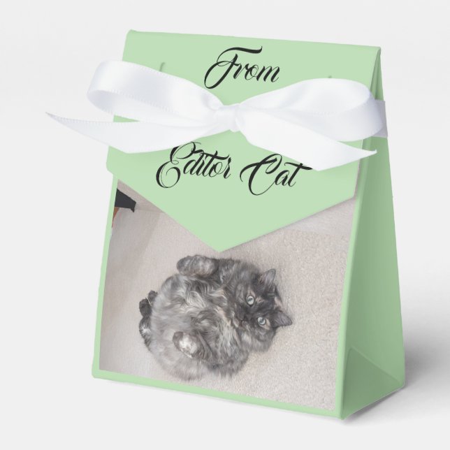 Caixa de Favoritos do Editor Cat by RoseWrites (Frente)