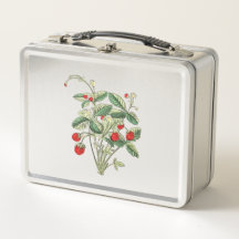 Caixa de Lanche de Morango Silvestre