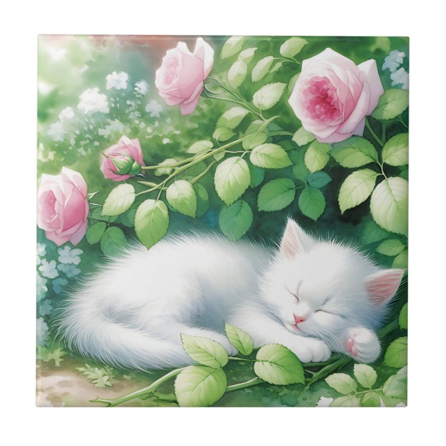 Caixa de Manutenção de Madeira Jewelry (Frente)