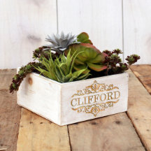 Caixa de Plantador de Madeira com gravação de lava