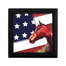 Bandeira Americana Patriótica e Cavalo