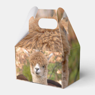 Caixa de presente da alpaca