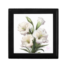 DEBORAH STEWART MINISTRIES-WHITE LILY