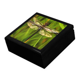 Caixa De Presente Dragonfly Artística Em Castanho E Amarelo Em Verde