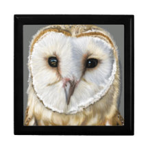 Linda Coruja-do-celeiro