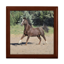 Caixa De Presente Morgan Horse Running Wooden Jewelry Box