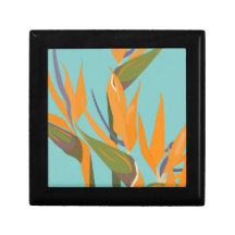 Pássaro da Caixa do Presente do Paraíso