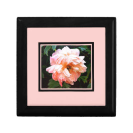 Caixa De Presente Primavera romântico Peony em Pale Peach