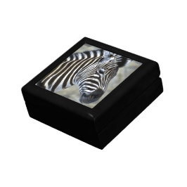 Caixa De Presente Zebras Lovers Art