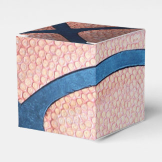 Caixas de Favor de Basquete