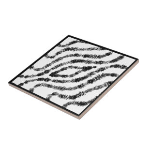 Caixas Pretas De Cordas Em Arte Moderna Branca