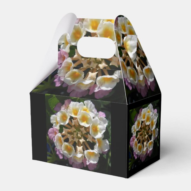 Caixinha De Lembrancinhas Adelaparre (Frente)