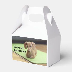 Caixinha De Lembrancinhas Adoro o meu Cream Dachshund com uma fotografia