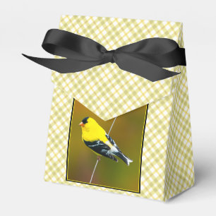 Caixinha De Lembrancinhas American Goldfinch - Fotografia original