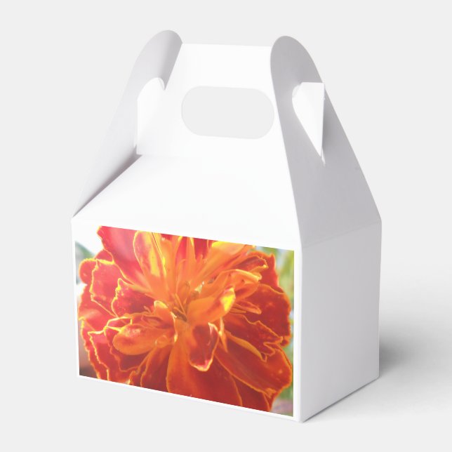 Caixinha De Lembrancinhas Anastelino (Frente)