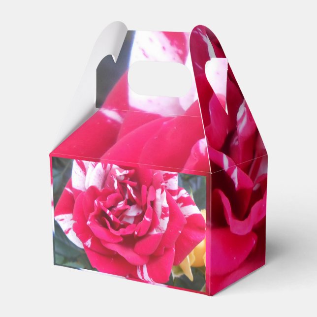 Caixinha De Lembrancinhas Anicia (Verso)