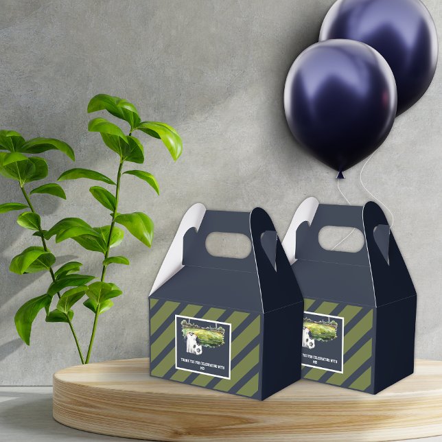 Caixinha De Lembrancinhas Aniversário de criança de Esporte de Meninos (Green Blue Soccer Birthday Party Favor Box)