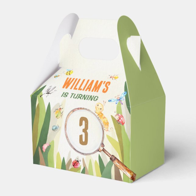 Caixinha De Lembrancinhas Aniversário do Inseto Inseto de Aquarela (Frente)