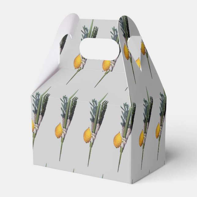 Caixinha De Lembrancinhas Arba Minim - Lulav, Esrog, Hadas e Aravah (Verso)