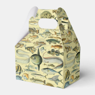 Caixinha De Lembrancinhas Arte De Pesca Científica Dos Peixes Vintage