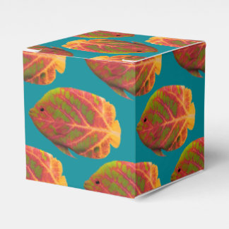 Caixinha De Lembrancinhas Aspen Peixe Tropical 1