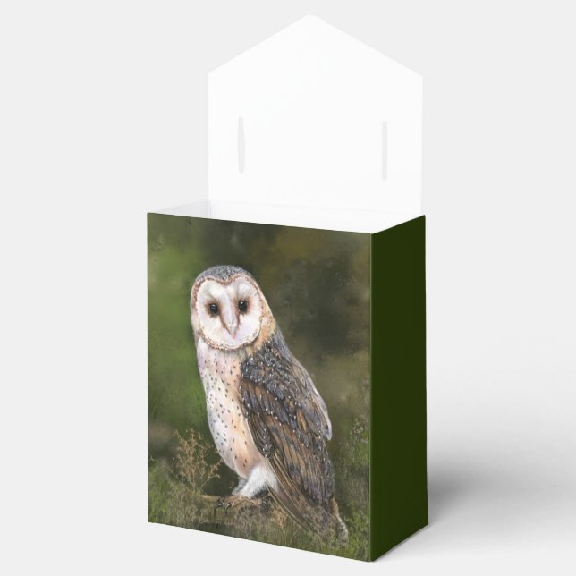 Caixinha De Lembrancinhas Barn Owl Favor Boxes (Aberto)