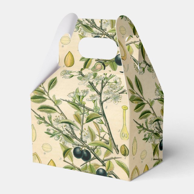 Caixinha De Lembrancinhas Berry Impressão Botânico Antiquado Blackthorn (Frente)