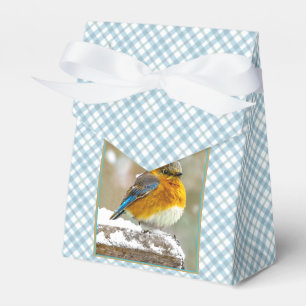 Caixinha De Lembrancinhas Bluebird oriental na neve - Foto original