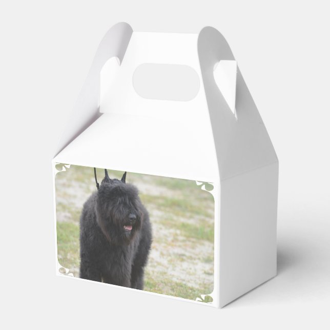 Caixinha De Lembrancinhas Bouviers des Flanders (Frente)