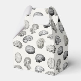 Caixinha De Lembrancinhas Brain Anatomy Biology Illustrations