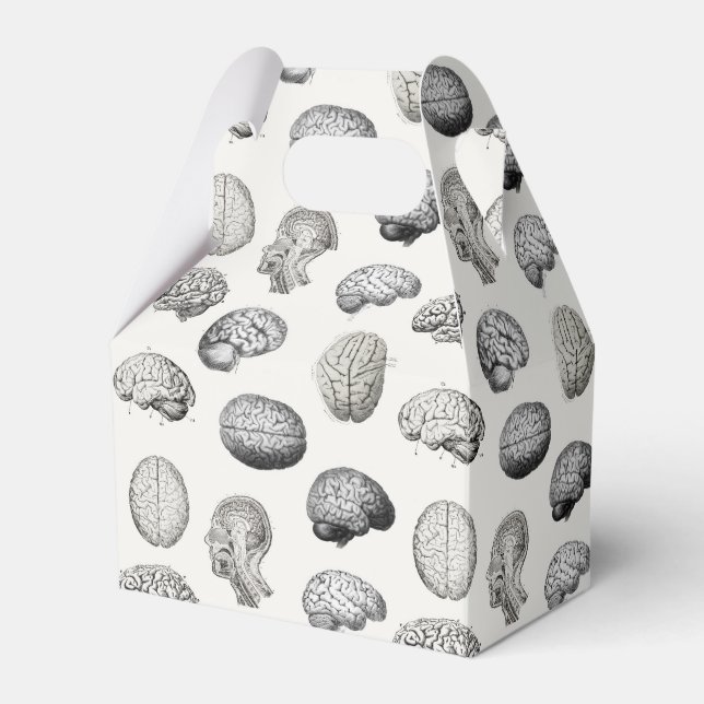 Caixinha De Lembrancinhas Brain Anatomy Biology Illustrations (Frente)