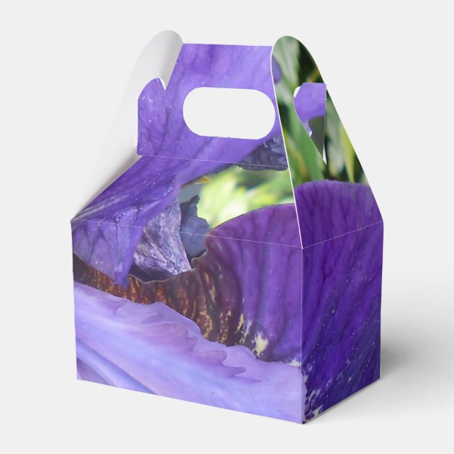 Caixinha De Lembrancinhas Brandeis (Frente)