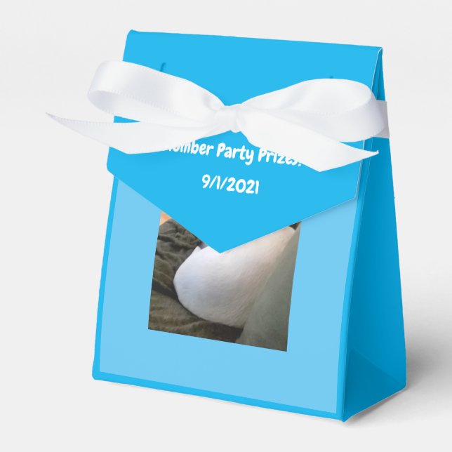 Caixinha De Lembrancinhas Cachorro Branco Cachorro Dormindo Festa Azul (Frente)