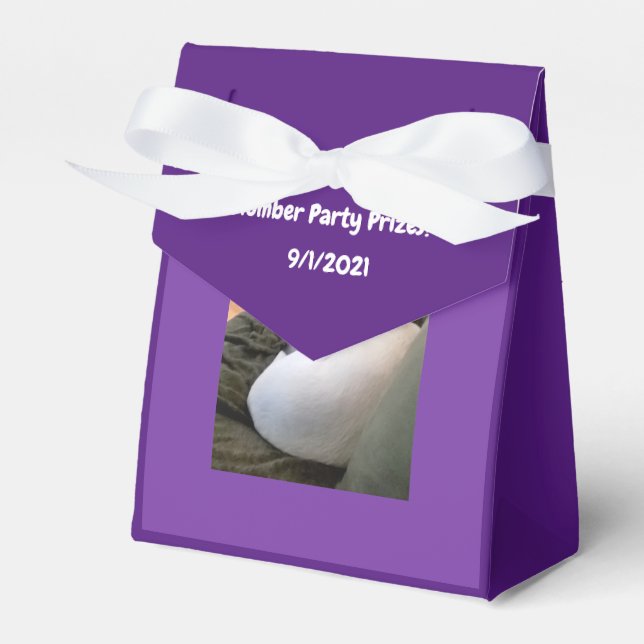 Caixinha De Lembrancinhas Cachorro Branco Cachorro Dormindo Púrpura (Frente)