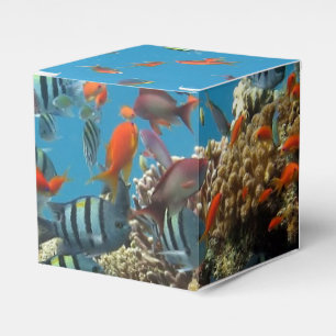 Caixinha De Lembrancinhas Caos de Peixes Tropicais