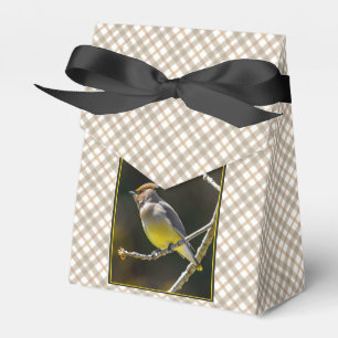 Caixinha De Lembrancinhas Cedar Waxwing Songbird Original Foto de Pássaro Se