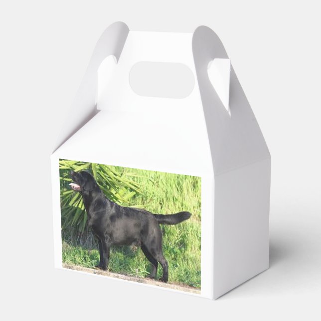 Caixinha De Lembrancinhas CHEIO de laboratório preto LR (Frente)