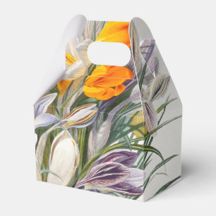 Caixinha De Lembrancinhas Crocus Primavera Fllower Arte Botânica