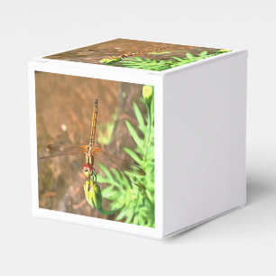 Caixinha De Lembrancinhas Dragonfly Artística Descendo Sobre Uma Cabeça De