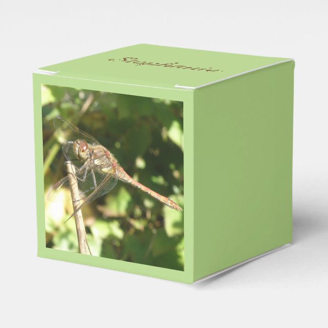 Caixinha De Lembrancinhas Dragonfly em um Twig Favor Box (Frente)