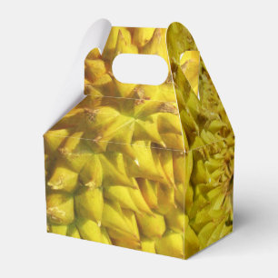 Caixinha De Lembrancinhas Durian Fruta