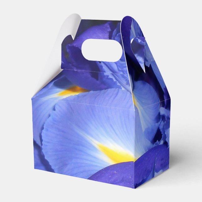 Caixinha De Lembrancinhas Ermengarde (Verso)