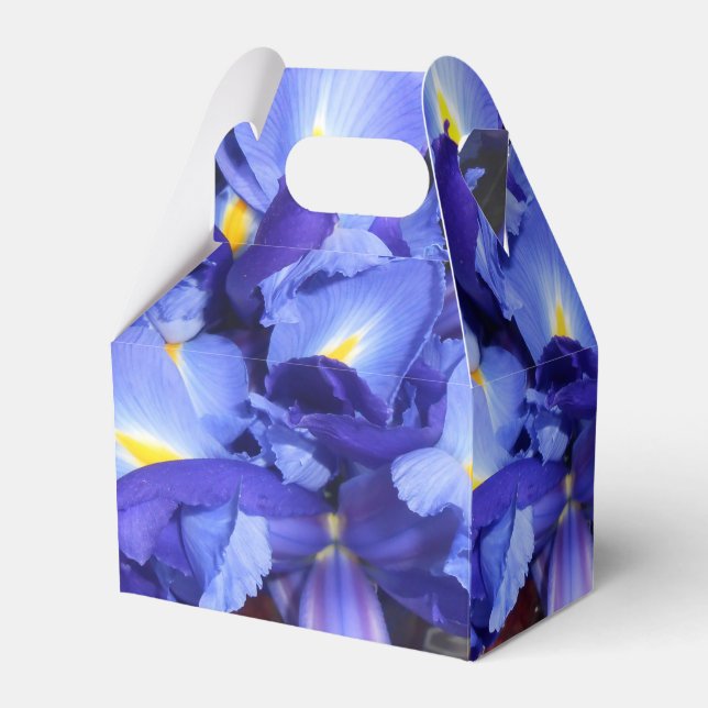 Caixinha De Lembrancinhas Ermengarde (Frente)