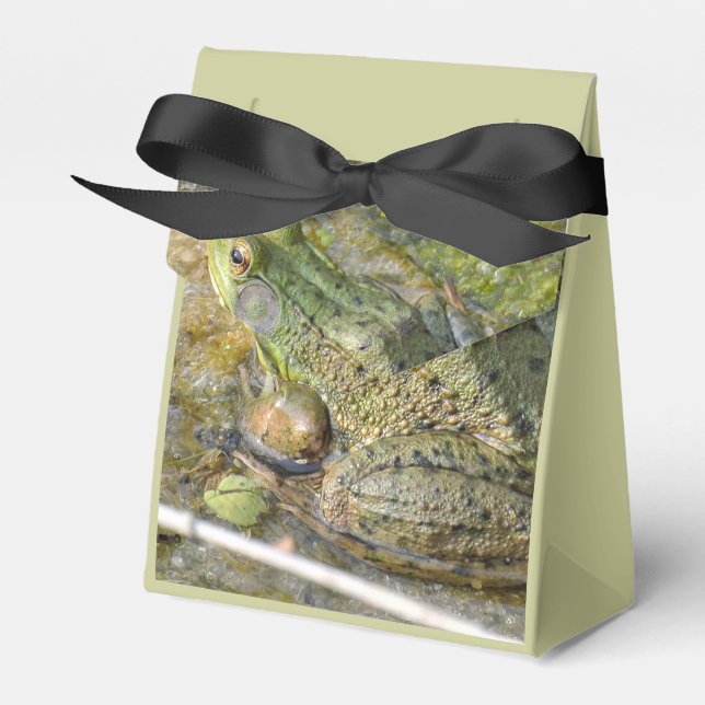 Caixinha De Lembrancinhas Festas de aniversário-sapo Menino (Frente)